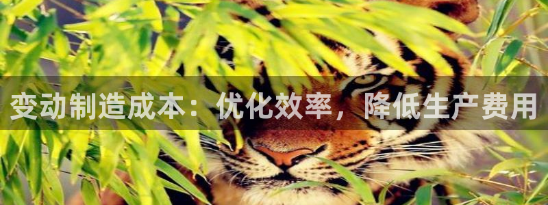 下载彩神争霸谁与我争锋