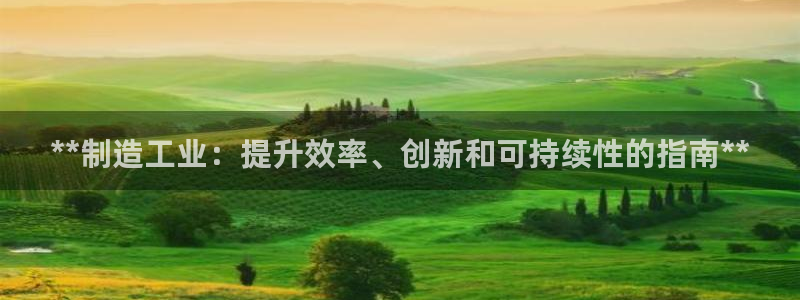 彩神v：**制造工业：提升效率、创新和可持续性的指南**