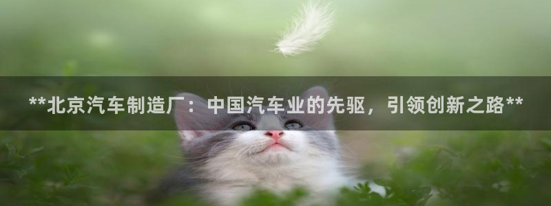 彩神购彩-购彩大厅入口36fr
