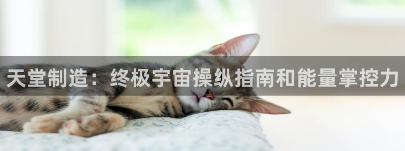 彩神网正规吗