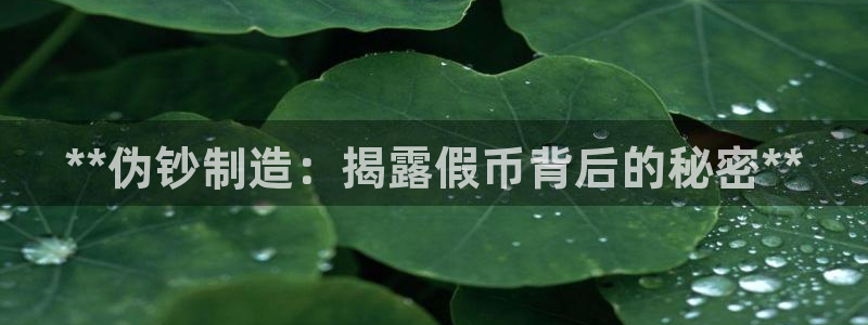 彩神天下专家专栏：**伪钞制造：揭露假币背后的秘密**