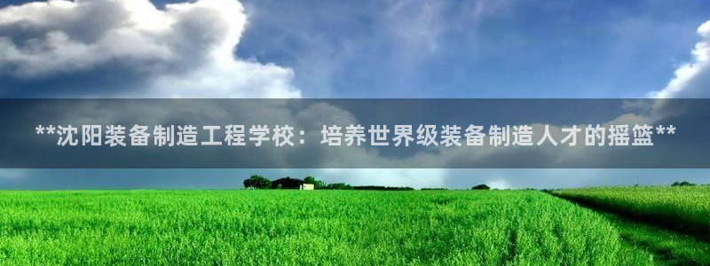 彩神Vll
