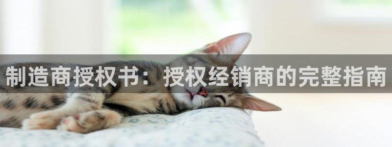 彩神正规吗