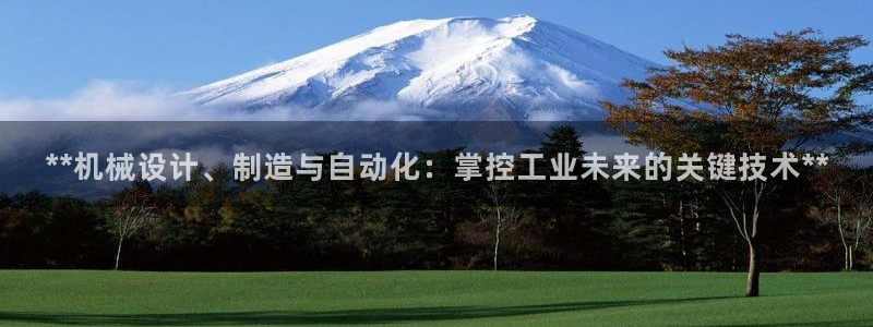 彩神vlll官方网