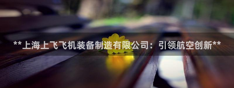 彩神V购彩大厅：**上海上飞飞机装备制造有限公司：引领航空创