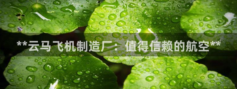 彩神8官网版是正规的吗