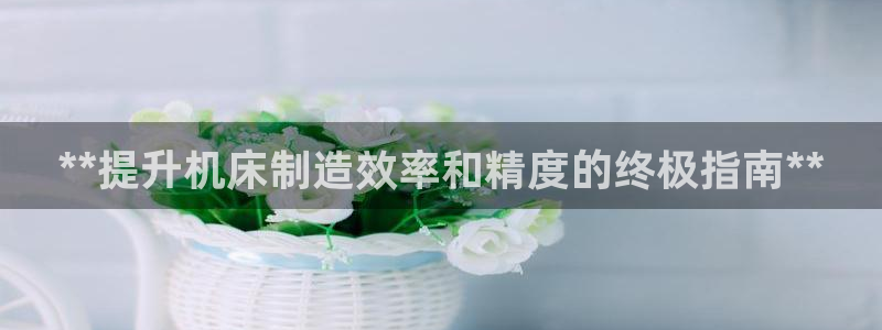 彩神v争霸是啥