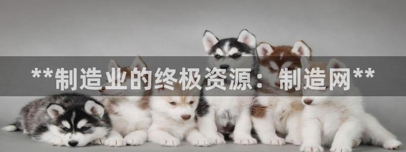 彩神购彩-购彩大厅入口