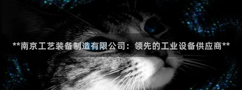 彩神ix官网是哪个公司的