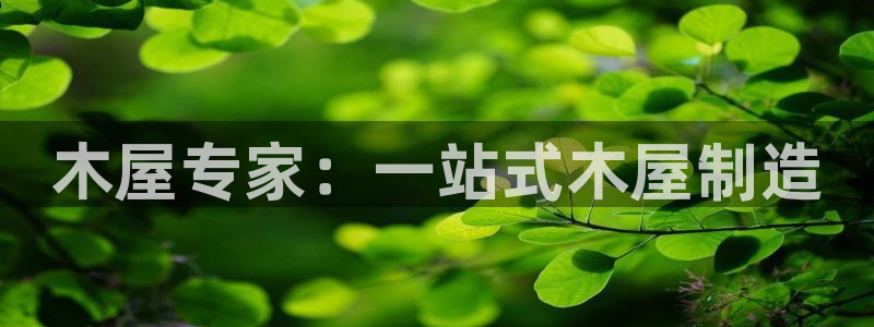 彩神VII购彩中心