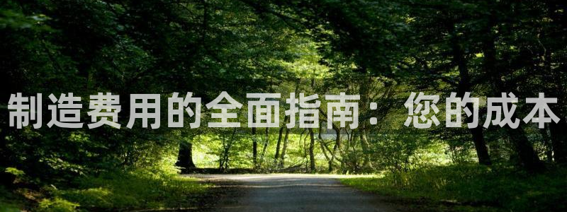 彩神v8首页