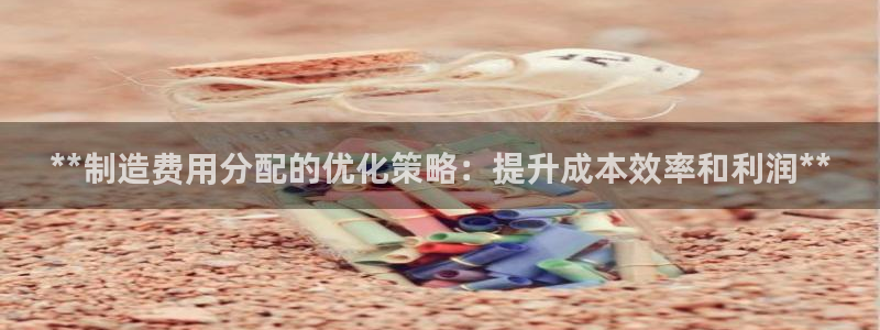 彩神赢了钱登录不上去：**制造费用分配的优化策略：提升成本效率和利润**