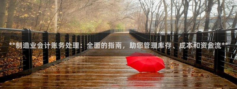 所有彩神购买首页中心：**制造业会计账务处理：全面的指南，助