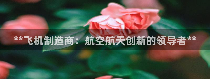 彩神vll首页：**飞机制造商：航空航天创新的领导者**