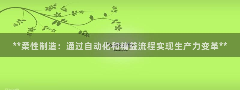 彩神xapp官方网站：**柔性制造：通过自动化和精益流程实现