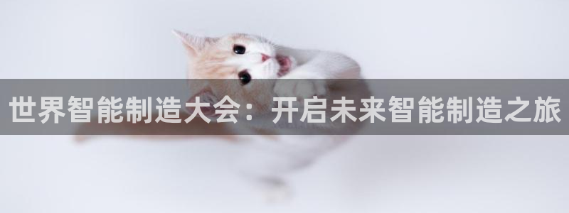 彩神大发三期计划网站：世界智能制造大会：开启未来智能制造之旅