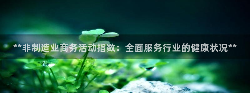 彩神v大众娱乐：**非制造业商务活动指数：全面服务行业的健康状况**