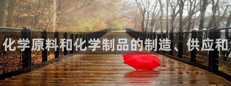 彩神是什么平台