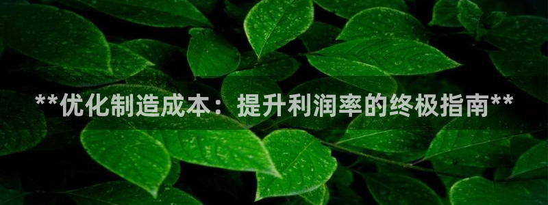 彩神客服电话：**优化制造成本：提升利润率的终极指南**