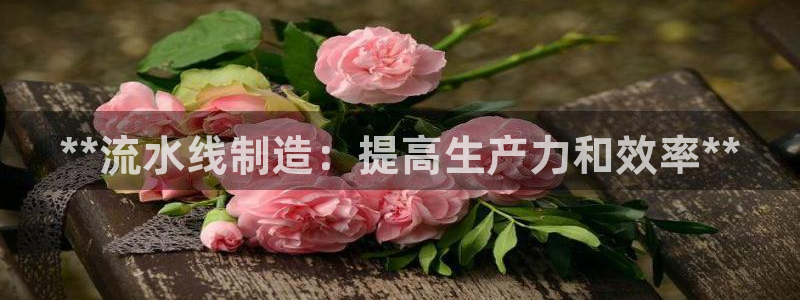 彩神网正规吗：**流水线制造：提高生产力和效率**