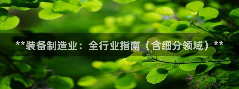 彩神V购彩大厅：**装备制造业：全行业指南（含细分领域）**