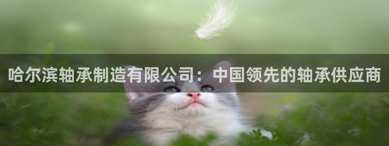 彩神vii手游下载