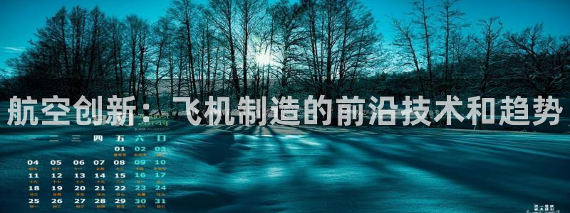 彩神网可以赚钱是真的吗：航空创新：飞机制造的前沿技术和趋势