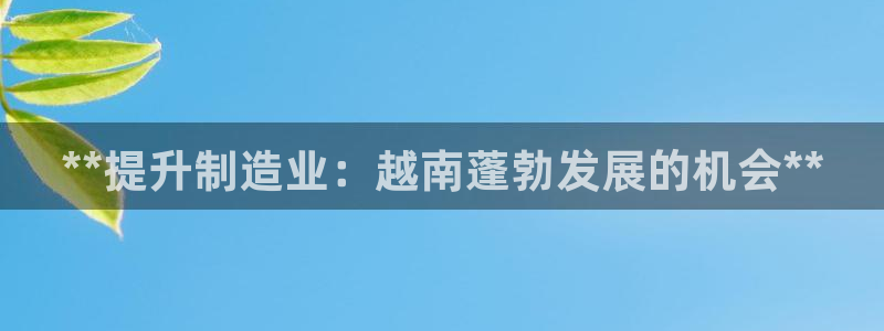 彩神购彩-购彩大厅入口500：**提升制造业：越南蓬勃发展的机会**