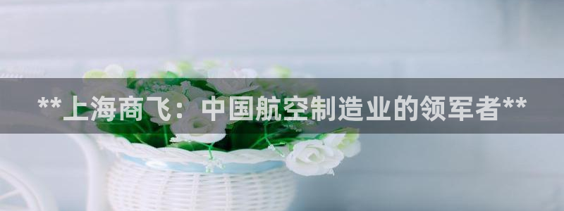 彩神vll购彩大厅大众：**上海商飞：中国航空制造业的领军者