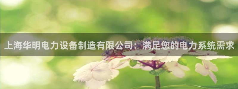彩神8是正规平台吗：上海华明电力设备制造有限公司：满足您的电力系统需求