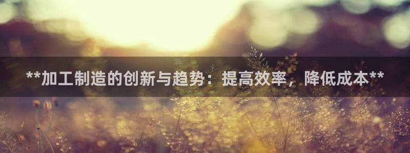 彩神8官网500：**加工制造的创新与趋势：提高效率，降低成本**