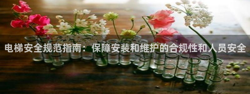 彩神购彩-购彩大厅入口老版：电梯安全规范指南：保障安装和维护
