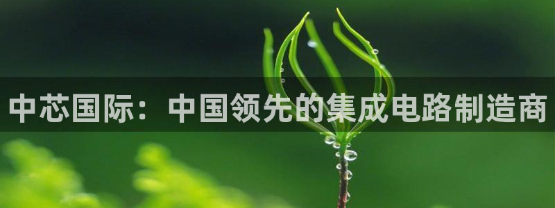 彩神8软件下载