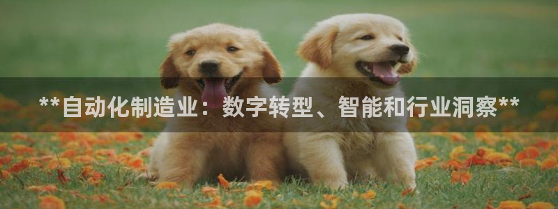 彩神赢的钱是哪里来的