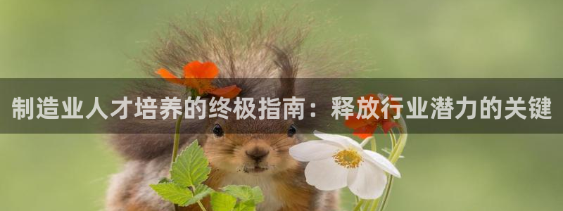 彩神app赚钱是真是假：制造业人才培养的终极指南：释放行业潜力的关键