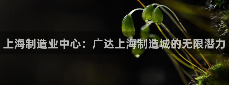 彩神v8平台正规吗可靠吗：上海制造业中心：广达上海制造城的无