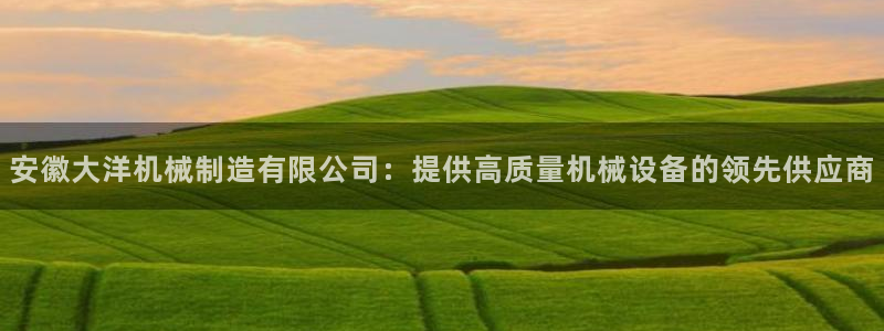 彩神xapp官方网站：安徽大洋机械制造有限公司：提供高质量机械设备的领先供应商