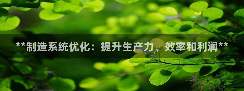 彩神v网赌软件下载：**制造系统优化：提升生产力、效率和利润**