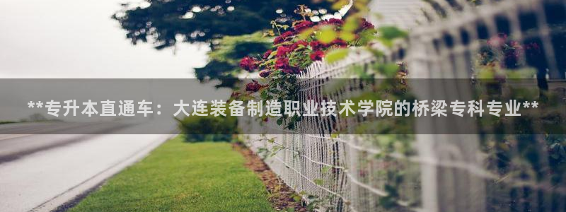 彩神购彩-购彩大厅入口下载