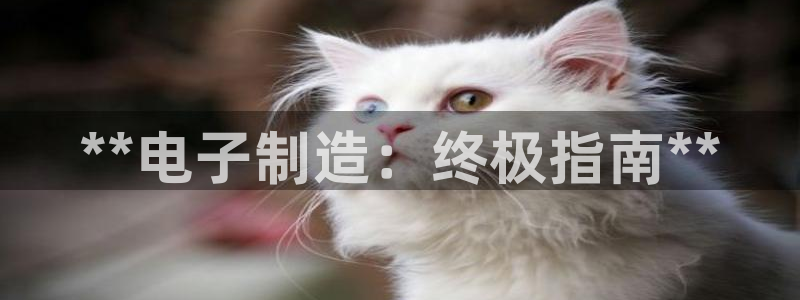 彩神xapp官方网站：**电子制造：终极指南**