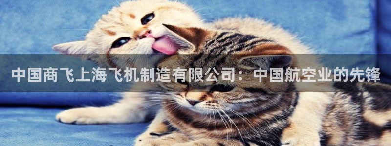 彩神v破解版：中国商飞上海飞机制造有限公司：中国航空业的先锋