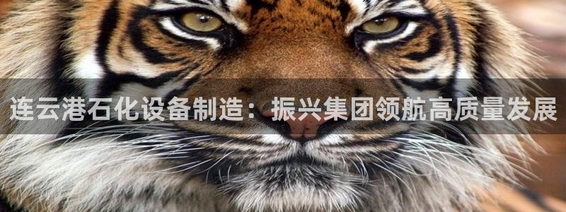 彩神8官网合法吗