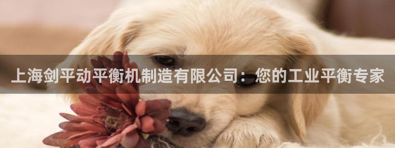 彩神合法吗.是国家认可的吗