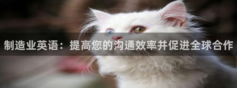 彩神8购彩-购彩大厅