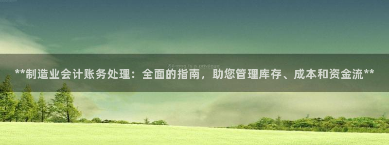 彩神ⅴll用户登录：**制造业会计账务处理：全面的指南，助您