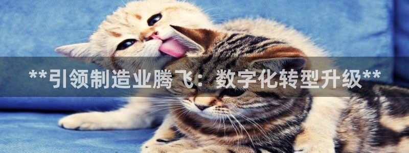 彩神ix官网是哪个公司的：**引领制造业腾飞：数字化转型升级