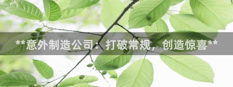 彩神vllⅰ购彩大厅