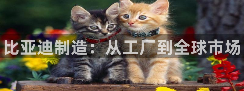 天天彩神welcome：比亚迪制造：从工厂到全球市场