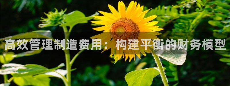 彩神v8下载app：高效管理制造费用：构建平衡的财务模型