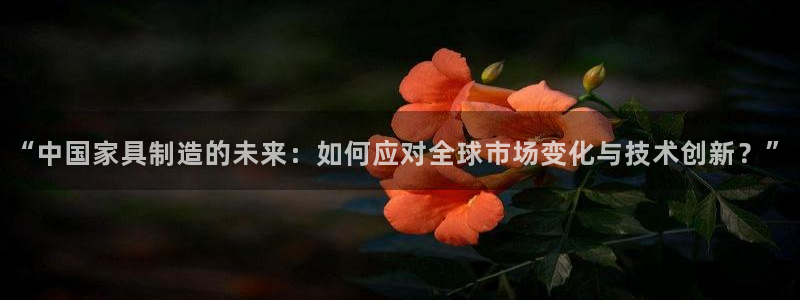 彩神v8平台正规吗：“中国家具制造的未来：如何应对全球市场变化与技术创新？”
